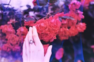 Taller de poesía e imagen «Ver las palabras, escribir las visiones»